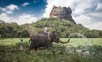 Tour Sri Lanka